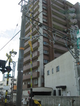 矢野２