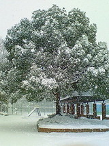 d4150260.jpg