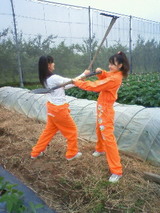 b40cebc3.jpg