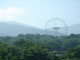 6714���¾쥢���ȥ�åȴ�����