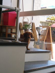 ���礳
