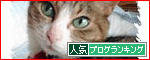 �͵��֥����󥭥󥰤�GO!!