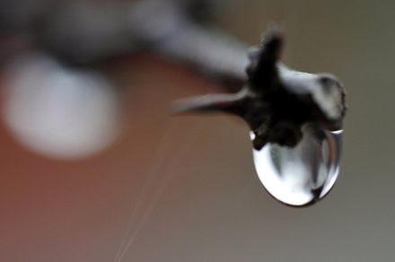 Macro7