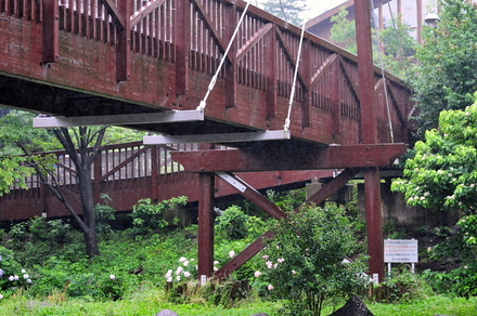 izumi05