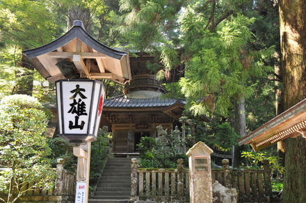 D300sBlog3
