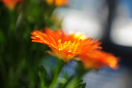 f04