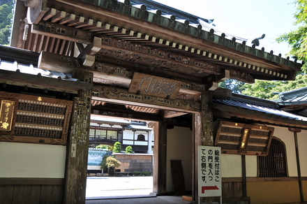 D300sBlog1