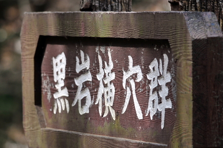 conv0011
