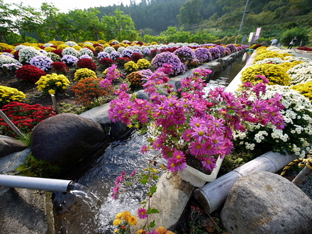 daiyuutyou12