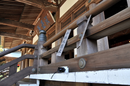 D300sBlog2