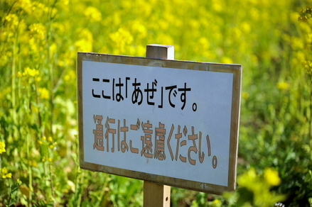 ooi26