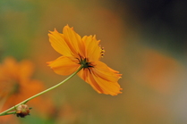 conv0014