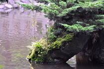 Hiratuka05