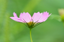 conv0003