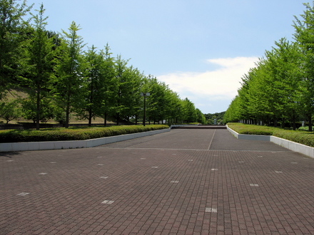jindai02