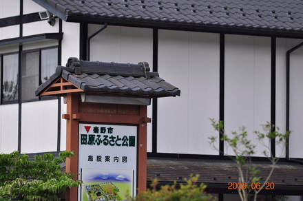 tahara19