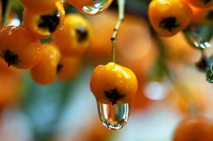 Macro9