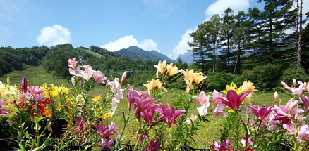 kiyosatoski-3