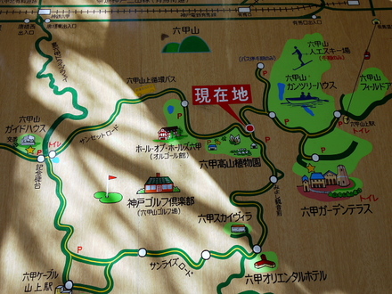 kouzannsyokubutu14
