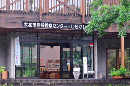 izumi01