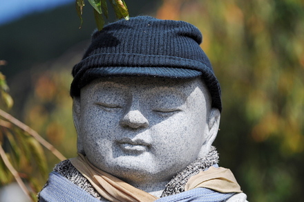 matuda1