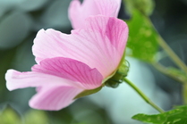 conv0021