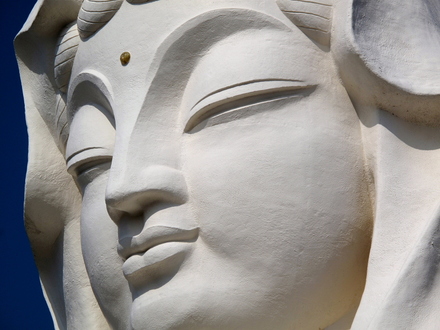 kannon7