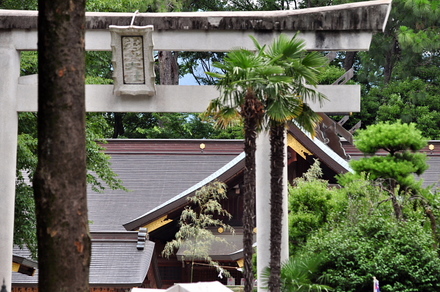 izumo6
