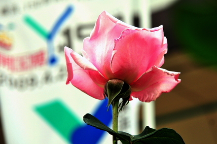k07