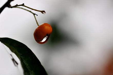 Macro10
