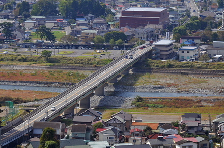 matuda2