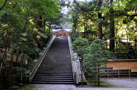 D300sBlog7