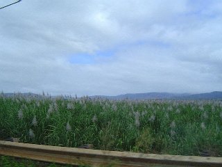 DSC01760
