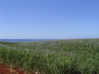 DSC01829