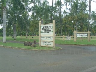 DSC01761