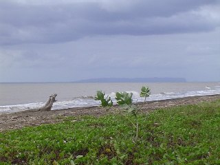 DSC01773