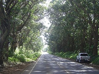 DSC01847