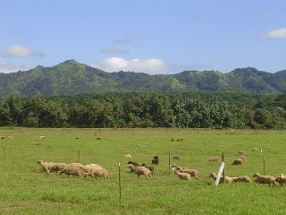 DSC01836