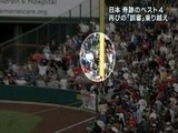 wbc14.jpg