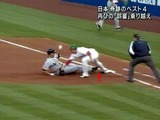 wbc13.jpg