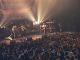 J.T.B
