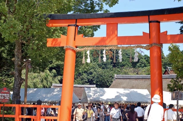 華 名古屋帯 河童 相撲 童子 華 名古屋帯 河童 相撲 童子