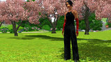 sims31