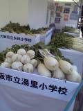 ��������������纬��ŷ������