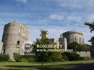 Windsor��