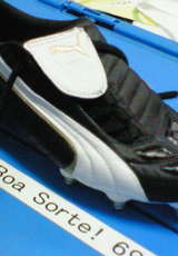 1193cacc.jpg