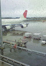 78ca95f1.jpg