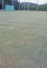 80d4cba8.jpg