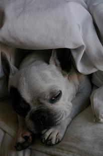 zzz