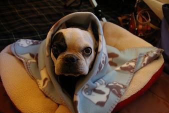 et